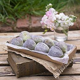 上海钛核新作《动物朋克》公布 将登陆主机和PC